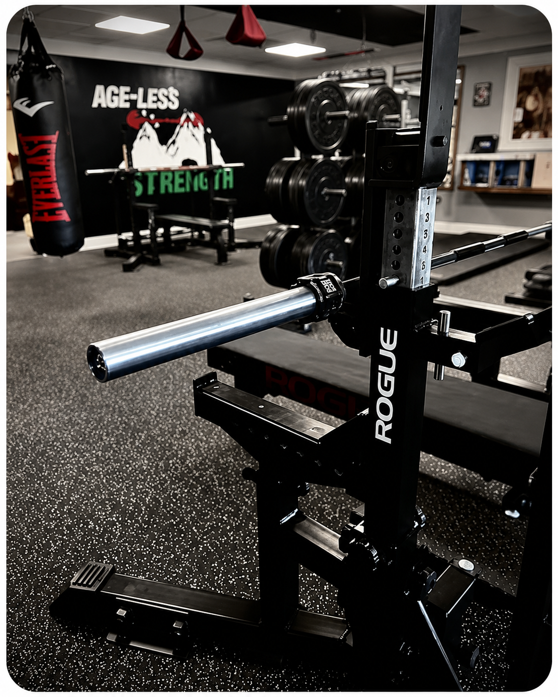 A squat rack with a barbell in the foreground, plate trees, benches and the Age-Less Strength wall mural behind
